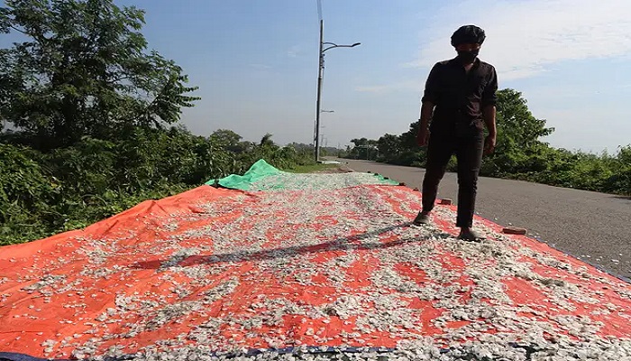 মাছের ‘ফেলনা’ আঁশ বিদেশে যাচ্ছে