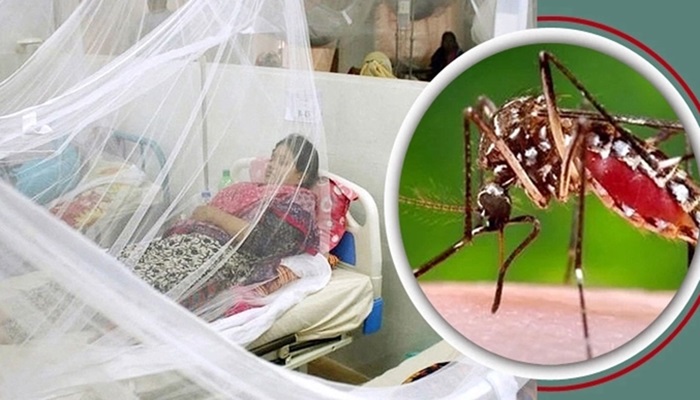 ডেঙ্গুতে একদিনে ৮ জনের মৃত্যু, শনাক্ত হাজারের বেশি