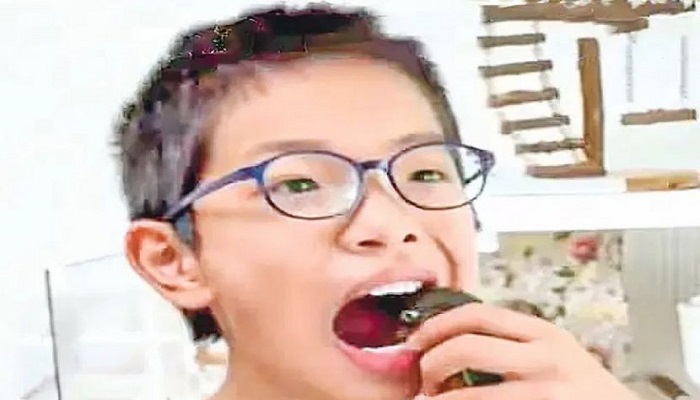 তোতাপাখি তুলল শিশুর দাঁত