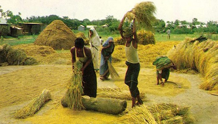 শুরু হলো নবান্ন উৎসব 