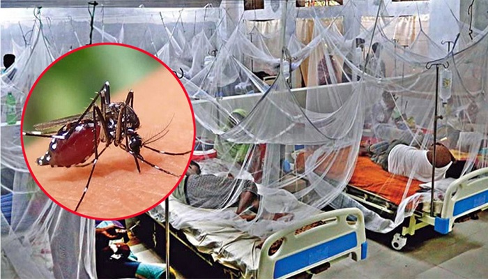 ডেঙ্গুতে চলতি বছরের সর্বোচ্চ ৯ মৃত্যু