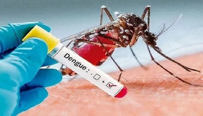 ডেঙ্গুতে আরো ৫ মৃত্যু, হাসপাতালে ৫৬২ জন