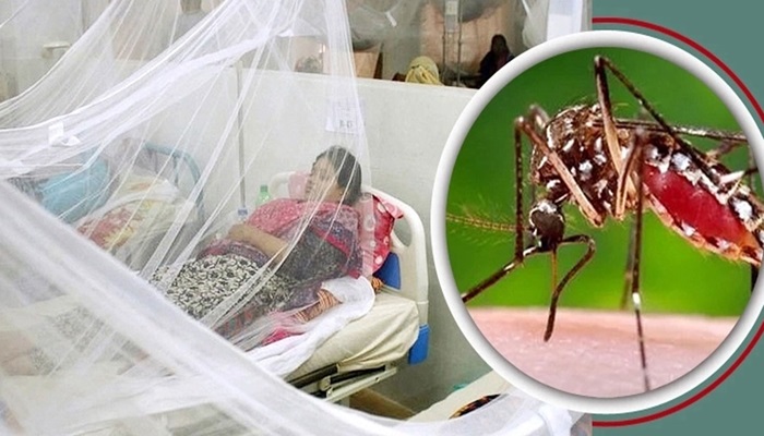 ডেঙ্গুতে এ বছরের সর্বোচ্চ মৃত্যু ও শনাক্ত